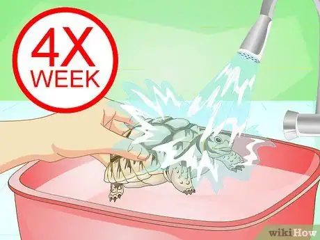 Imagem intitulada Bathe a Turtle Step 9