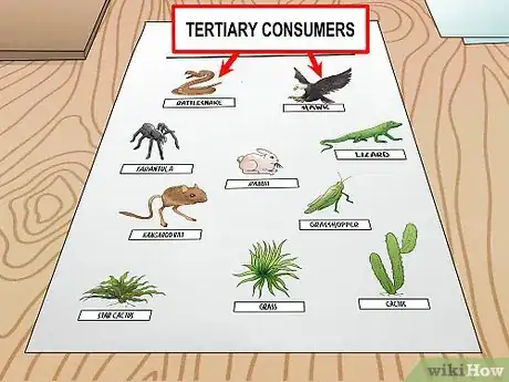 Imagem intitulada Draw a Food Web Step 9