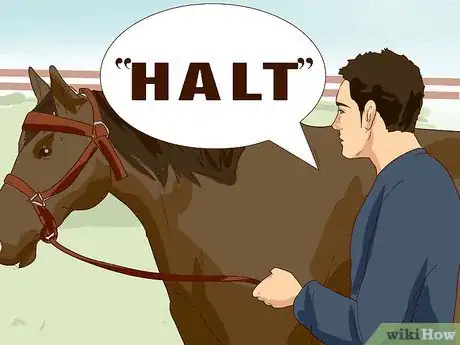 Imagem intitulada Break a Horse Step 15