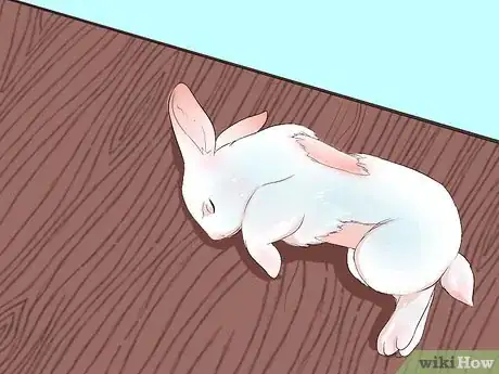 Imagem intitulada Transport a Rabbit Step 14
