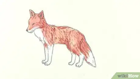 Imagem intitulada Draw a Fox Step 10