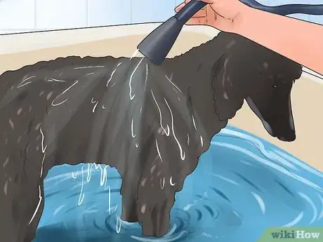 Imagem intitulada Reduce Excessive Shedding in Dogs Step 7