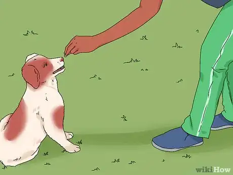 Imagem intitulada Train a Dog Step 9