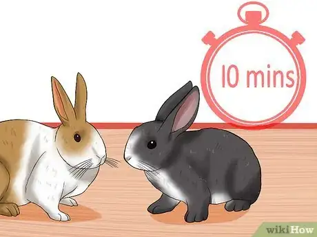 Imagem intitulada Introduce Rabbits Step 9