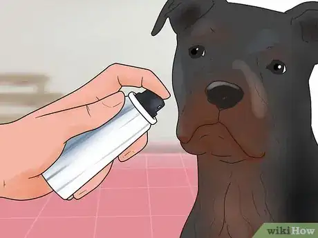 Imagem intitulada Reduce Excessive Shedding in Dogs Step 8