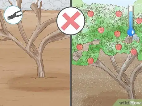 Imagem intitulada Fertilize an Apple Tree Step 10