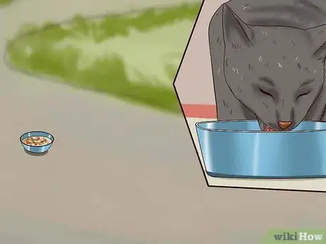 Imagem intitulada Catch a Cat Step 11