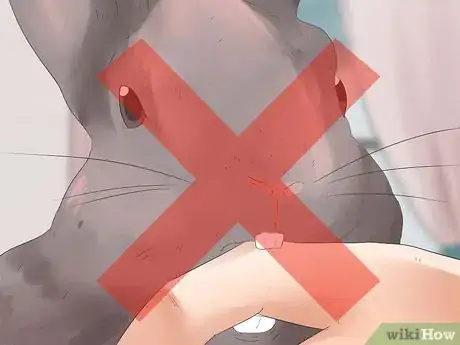 Imagem intitulada Understand Your Rabbit Step 16