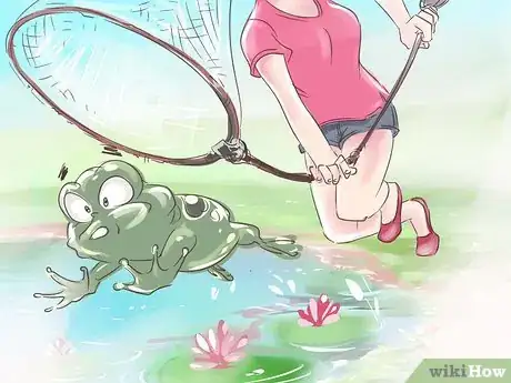 Imagem intitulada Catch a Frog Step 4