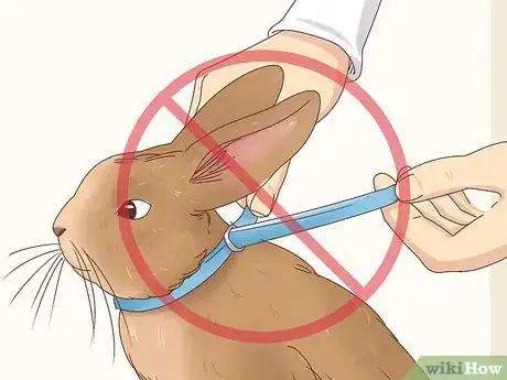 Imagem intitulada Get Rid of Fleas on Rabbits Step 6