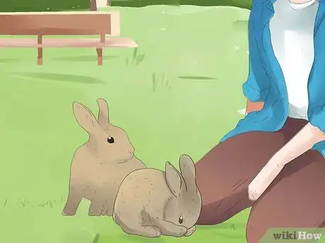Imagem intitulada Understand Your Rabbit Step 18