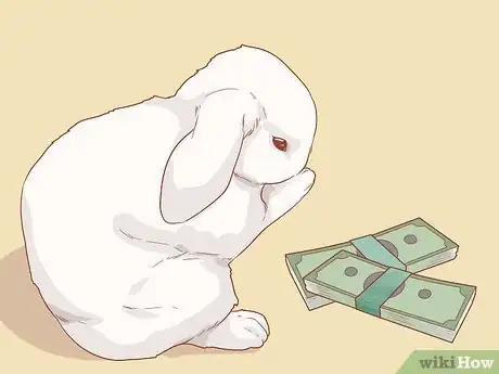 Imagem intitulada Raise a Lop Eared Rabbit As a Pet Step 1