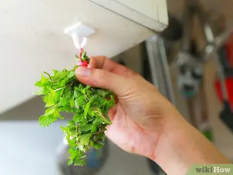 Imagem intitulada Make Mint Tea Step 15