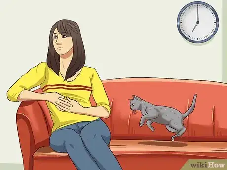 Imagem intitulada Catch a Cat Step 2