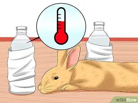 Imagem intitulada Treat Digestive Problems in Rabbits Step 12