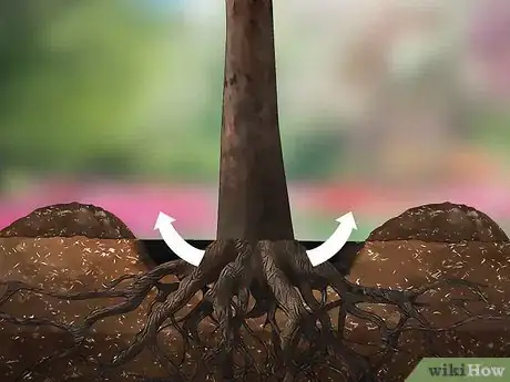 Imagem intitulada Remove a Tree Step 13