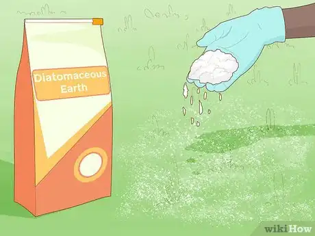 Imagem intitulada Get Rid of Chiggers Step 4
