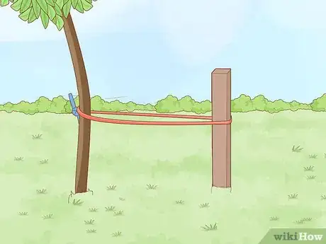Imagem intitulada Straighten a Tree Step 4