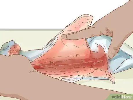 Imagem intitulada Store Fresh Fish Step 3