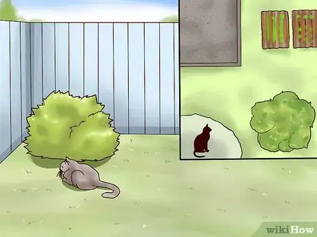 Imagem intitulada Repel Cats Step 12