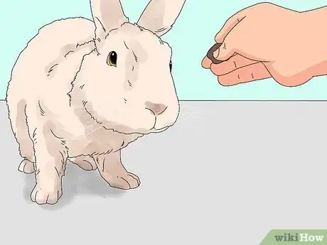 Imagem intitulada Pick up a Rabbit Step 16