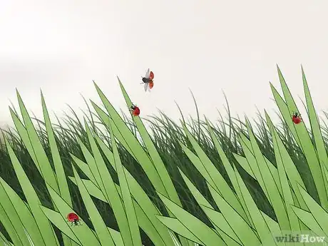 Imagem intitulada Catch Ladybugs Step 2