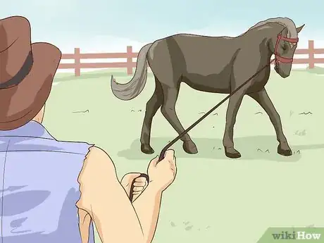 Imagem intitulada Break a Horse Step 14