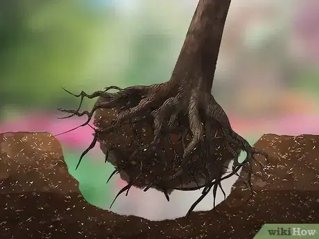 Imagem intitulada Remove a Tree Step 15