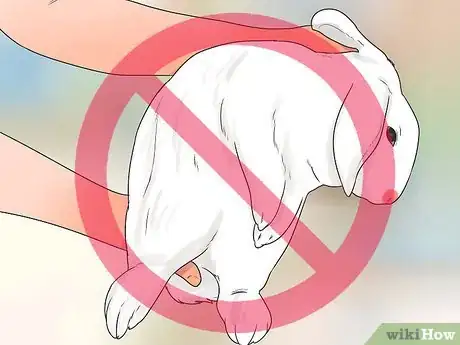 Imagem intitulada Breed Rabbits Step 11