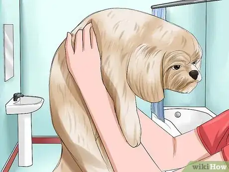 Imagem intitulada Bathe a Shih Tzu Puppy Step 5