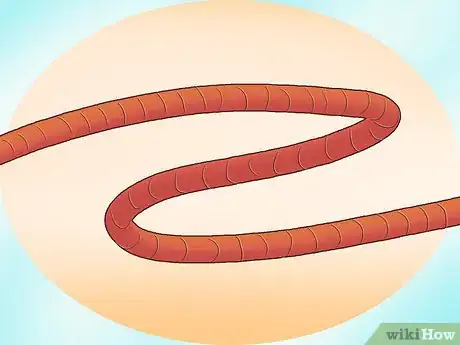 Imagem intitulada Braid Rope Step 20