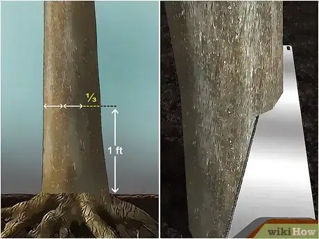 Imagem intitulada Fell a Tree Step 14