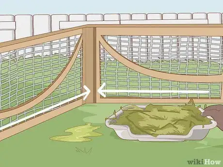 Imagem intitulada Care for Dwarf Rabbits Step 8