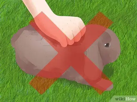 Imagem intitulada Understand Your Rabbit Step 14