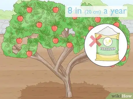 Imagem intitulada Fertilize an Apple Tree Step 1