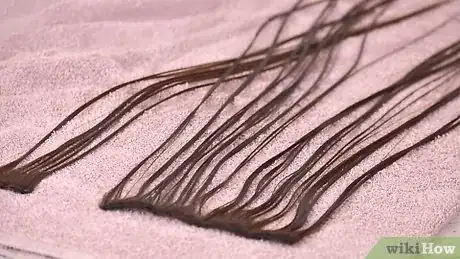 Imagem intitulada Store Clip in Hair Extensions Step 8