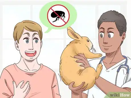 Imagem intitulada Get Rid of Fleas on Rabbits Step 9