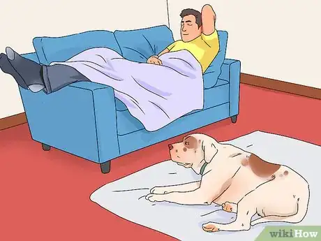 Imagem intitulada Train a Dog Step 1