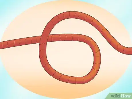 Imagem intitulada Braid Rope Step 21