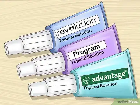 Imagem intitulada Get Rid of Fleas on Rabbits Step 1