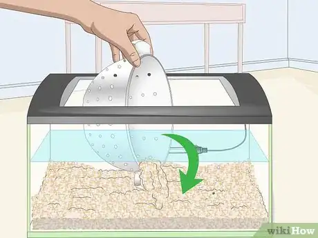 Imagem intitulada Clean Fish Tank Rocks Step 4