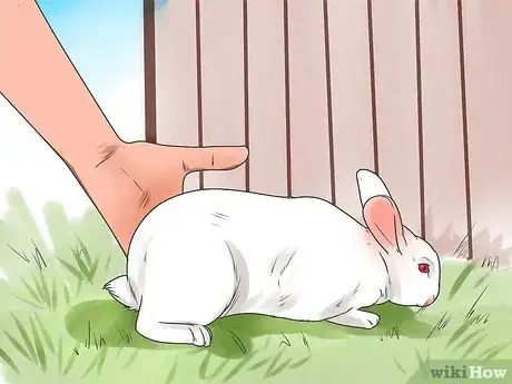 Imagem intitulada Breed Rabbits Step 19