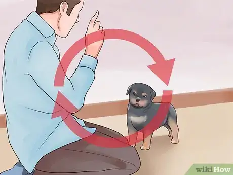 Imagem intitulada Train Your Rottweiler Puppy With Simple Commands Step 4