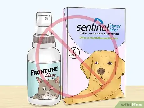 Imagem intitulada Get Rid of Fleas on Rabbits Step 4