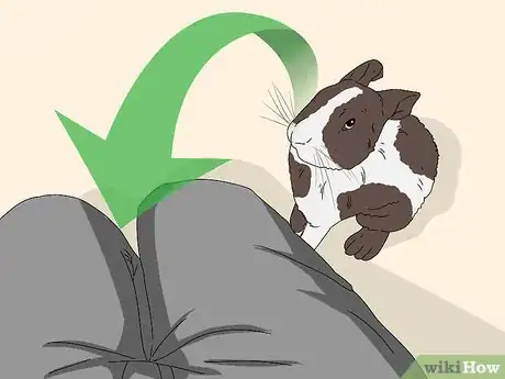 Imagem intitulada Train a Rabbit Step 6