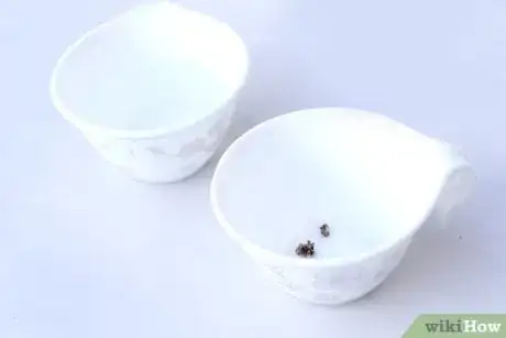 Imagem intitulada Make Itching Powder Step 6