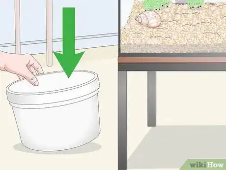 Imagem intitulada Clean Fish Tank Rocks Step 7