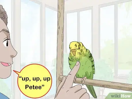 Imagem intitulada Hand Train a Parakeet Step 12