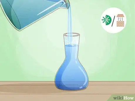 Imagem intitulada Grow a Plant Without Soil Step 9