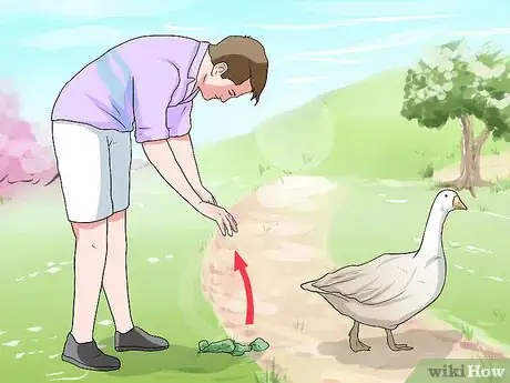 Imagem intitulada Feed Geese Safely Step 14